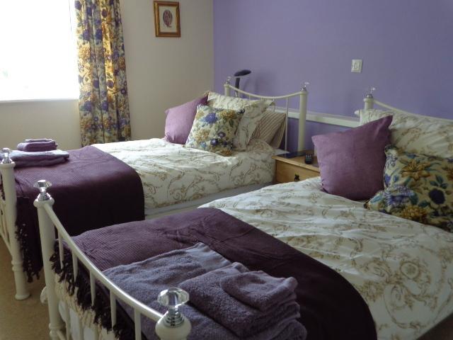 Buckland St Mary Lodge House B&B الغرفة الصورة