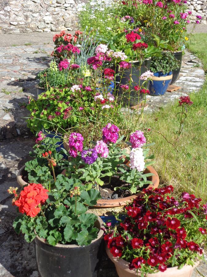 Buckland St Mary Lodge House B&B المظهر الخارجي الصورة